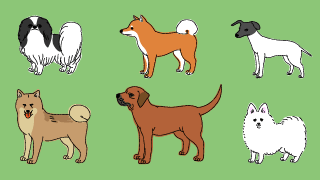 犬を 今すぐ大きくしたいのですが どうすれば 今日のなぞなぞ 犬を 今すぐ大きくしたいのですが どうすれば 今日のなぞなぞ